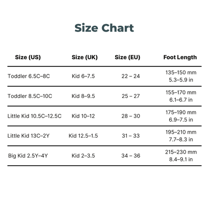 StepBuddy – Smart Insole Tracker