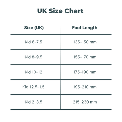 StepBuddy – Smart Insole Tracker