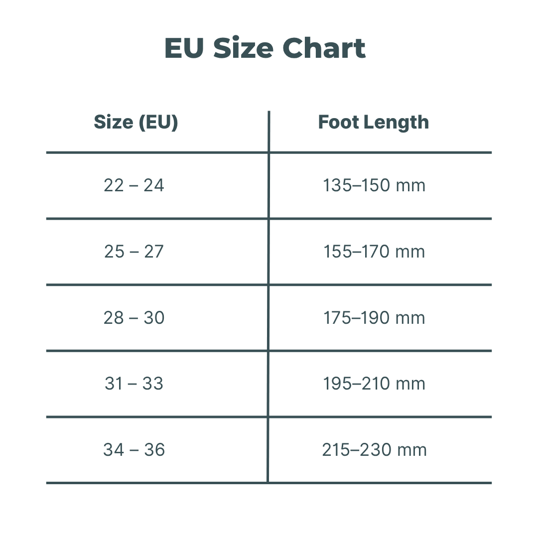 StepBuddy – Smart Insole Tracker