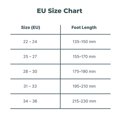 StepBuddy – Smart Insole Tracker